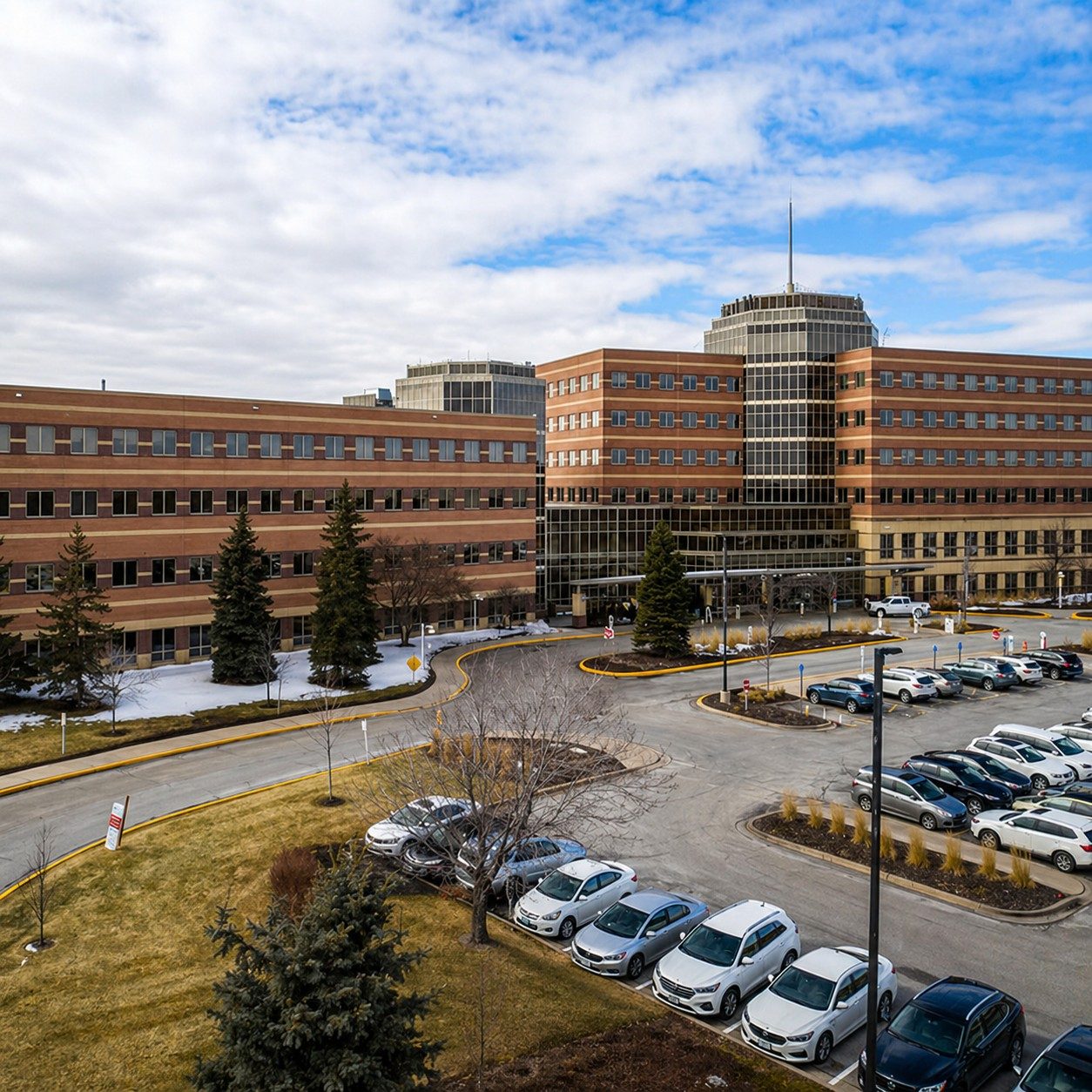 IPGMN chiropractor Plymouth MN